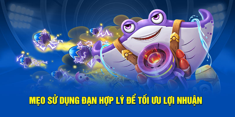 Mẹo sử dụng đạn hợp lý để tối ưu lợi nhuận