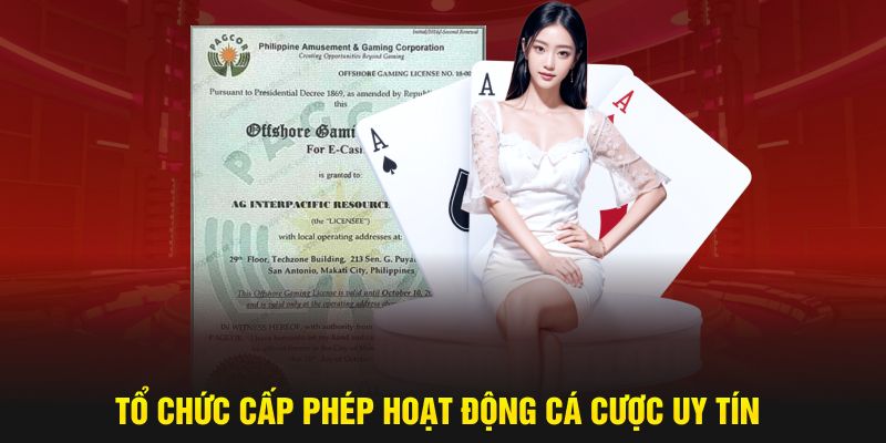 Tổ chức cấp phép hoạt động cá cược uy tín